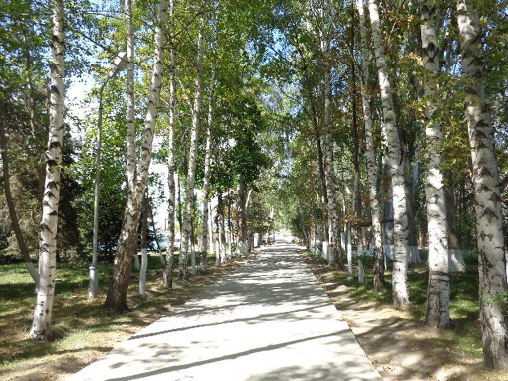 Guest House At Do Altyn - Kum Chon-Sary-Oy Εξωτερικό φωτογραφία
